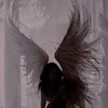 trinity_vty