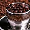 oumtaha.com