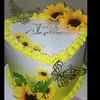 glorinha573