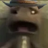 ml.rgn