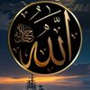 user9502528361885