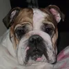 yunibbzinha