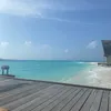 northafricancurlss