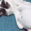 userk9bgyfu9hv