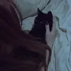 vsdji