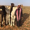 الروقي