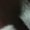alexiaoh1