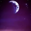 chaima_063