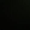 asil_1137