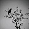 .fadly5by