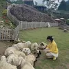 huongmy3108