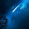 msr_vfx