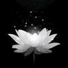 diunguyen1976hn