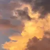 zio_pakaya