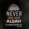 nadeembabar466133