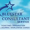 bluestartravelteam