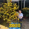 trangvu009