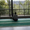 ngehek.i