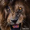 ahmedsajd8