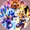 fw_.songoku
