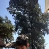 ximenarv8