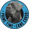 primetimecanecorso