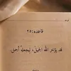 mohammedalmusawy5