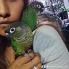 conure.mom.of.4