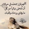 almalakiu.1