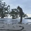 nonyhukunala