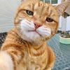 cing_tedasur0