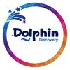 dolphindiscovery