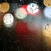 tync_77