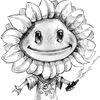 smmn_228pro