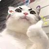 phongvz