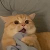 yaaaaayaaaaaaaaaaaaaaa