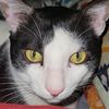 mahikitt3