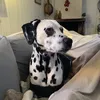 contarbest