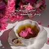 naaaaanoosh