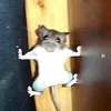 1.502