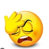gemini_pggys