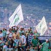 wags_verdolaga