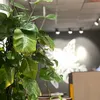 051101ngnu