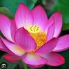 mamasyakir123