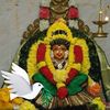 tamilvani12