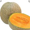 kanolope