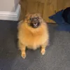 d4nca55idy