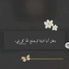 roottoor288