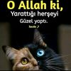 elif_14530