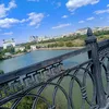 cheese_39607